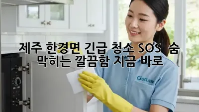 제주 한경면 긴급 청소 SOS! ✨ 숨 막히는 깔끔함, 지금 바로! 💨