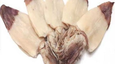 😋싱싱한 한치몸통 1kg 득템 후기! 놓치면 후회각!
